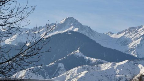 Из Екатеринбурга впервые появится рейс в Алма-Ату