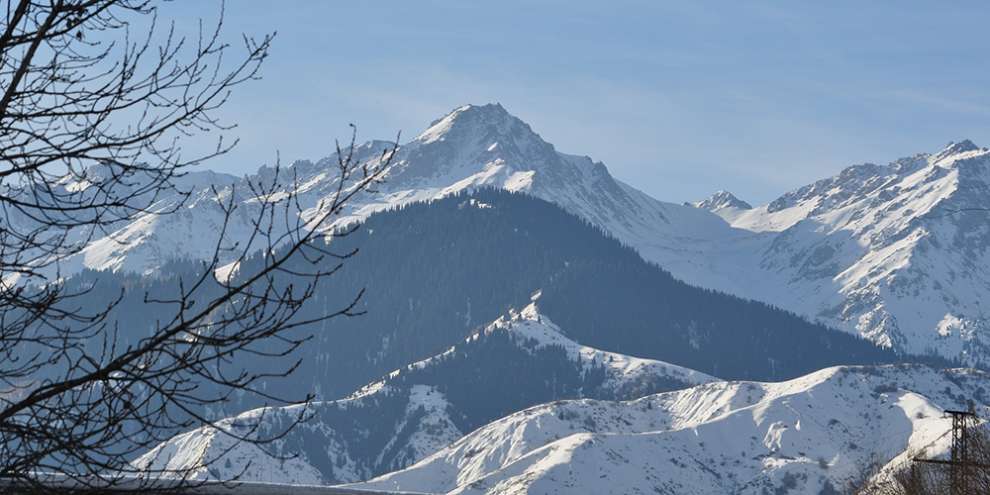 Из Екатеринбурга впервые появится рейс в Алма-Ату