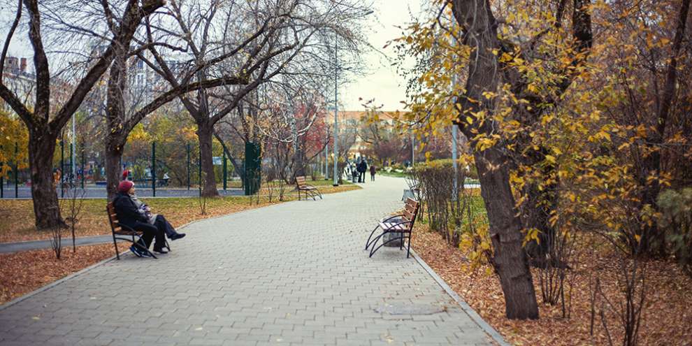 В Гидрометцентре предсказали теплый ноябрь