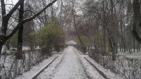 На Екатеринбург надвигается снежная непогода