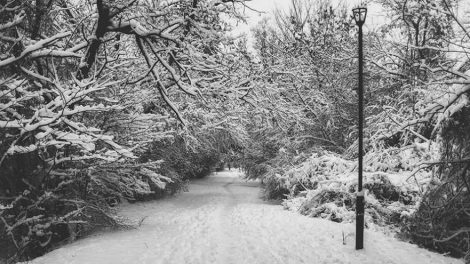 На Урале ожидаются сильные метели