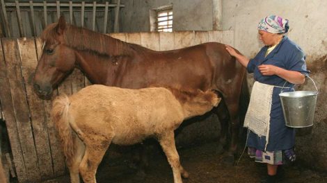 Путин подписал закон о сокращенном рабочем дне для женщин в селах