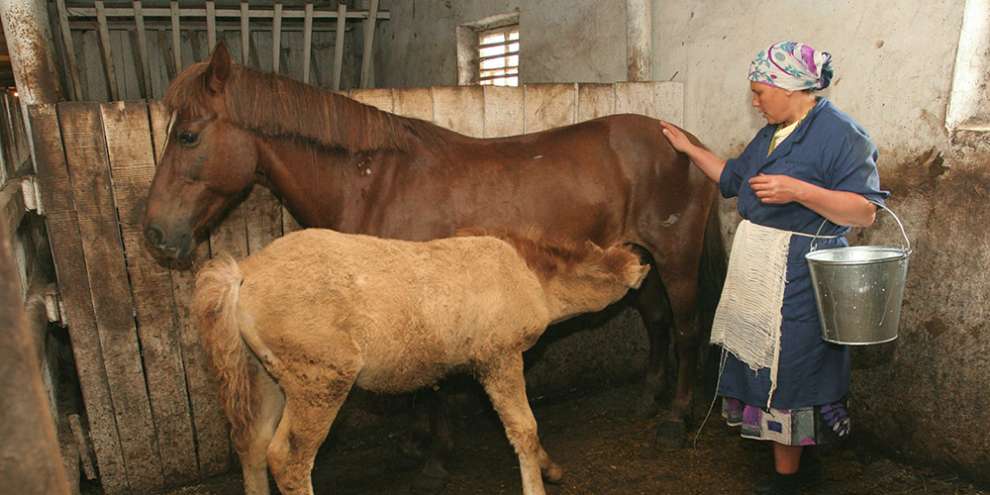 Путин подписал закон о сокращенном рабочем дне для женщин в селах