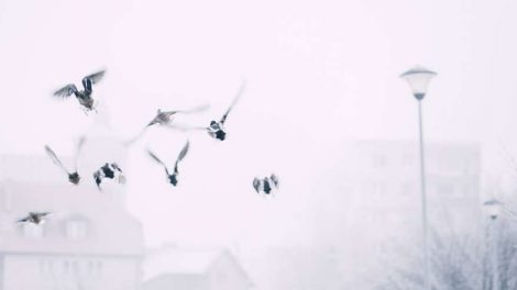 Спасатели предупреждают свердловчан о сильных снегопадах и штормовом ветре