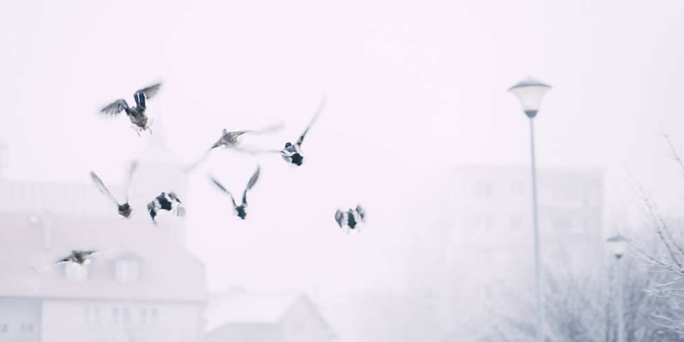 Спасатели предупреждают свердловчан о сильных снегопадах и штормовом ветре