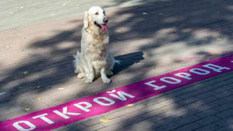 В Екатеринбурге появилась линия – путеводитель по стрит-арт объектам