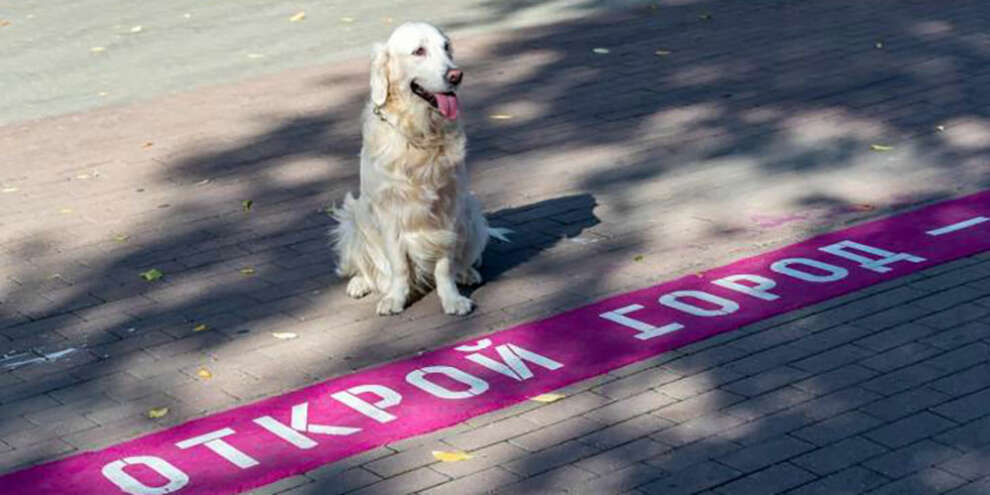 В Екатеринбурге появилась линия – путеводитель по стрит-арт объектам