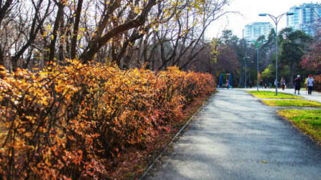 В сентябре в Екатеринбурге ожидается две волны бабьего лета