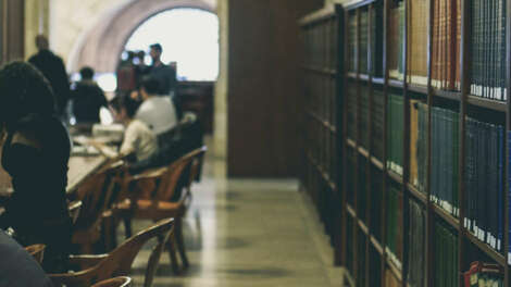 «Тотальный диктант» написали без ошибок только 8,6% участников