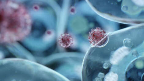 Россиянам объяснили различия омикрона от других штаммов