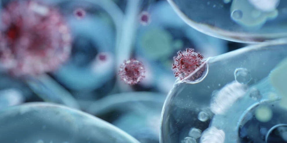 Новый штамм коронавируса обнаружили в восьми странах Европы