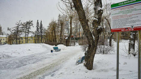 В Екатеринбурге одобрили застройку в саду Вайнера