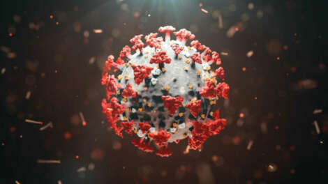 ВОЗ представила четыре сценария передачи коронавируса человеку