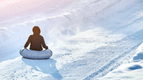 В парке Маяковского появятся тюбинг и 22-метровая альпийская ель