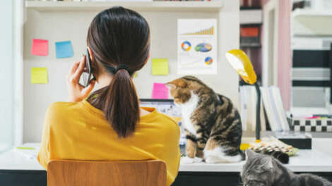 Сокращение срока действия QR-кодов списали на сбой