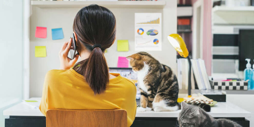 Сокращение срока действия QR-кодов списали на сбой